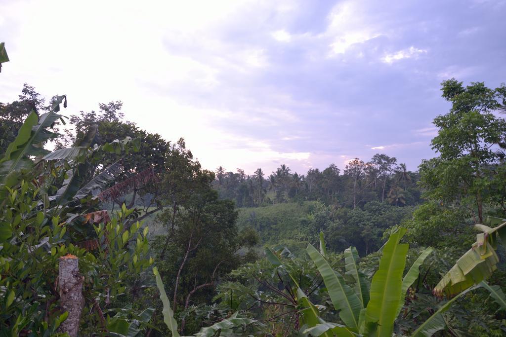 Pondok Bali Ubud Exteriör bild