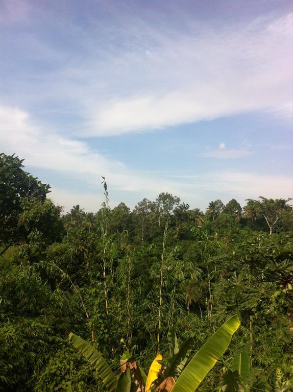 Pondok Bali Ubud Exteriör bild